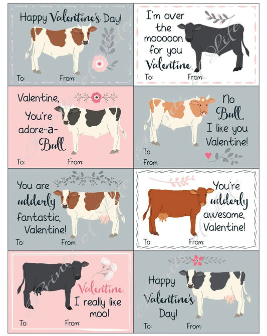 Cute Cows Valentine's Cards