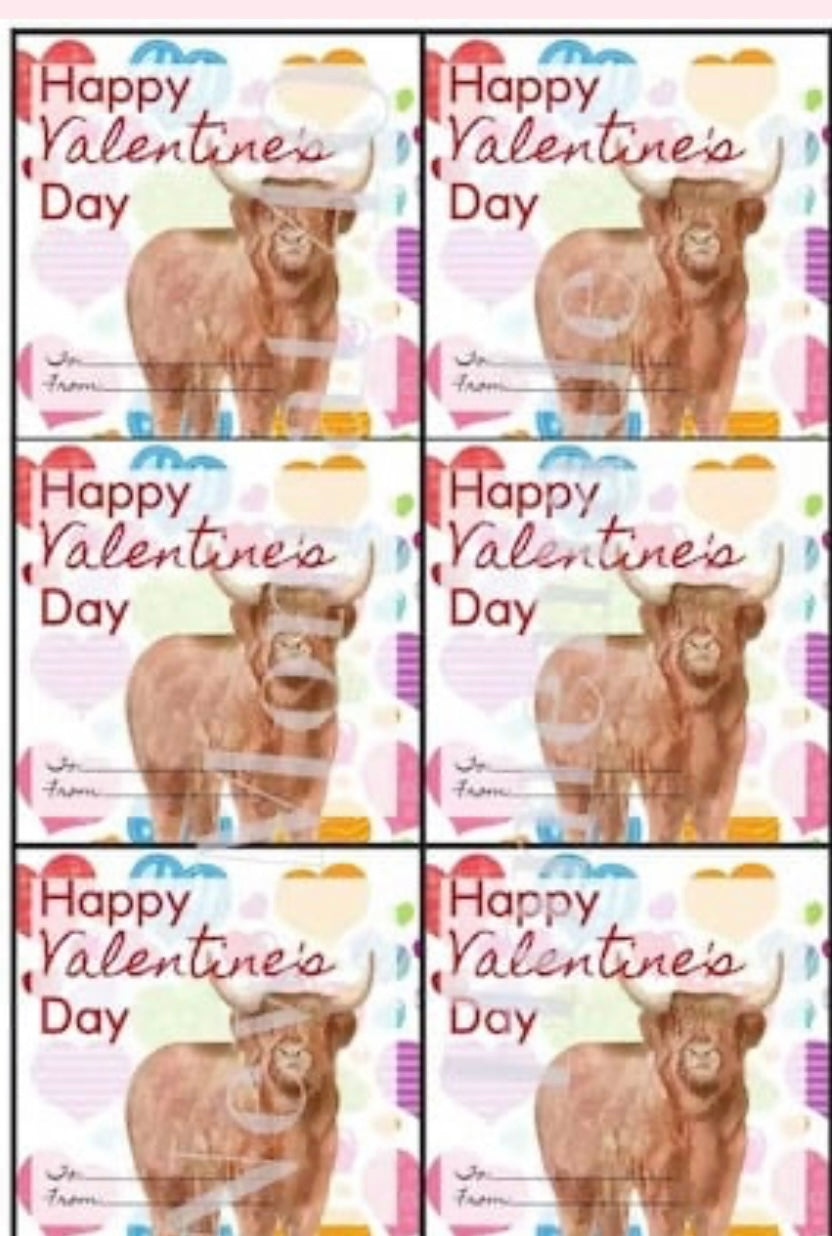 Highland cow Valentine's Cards